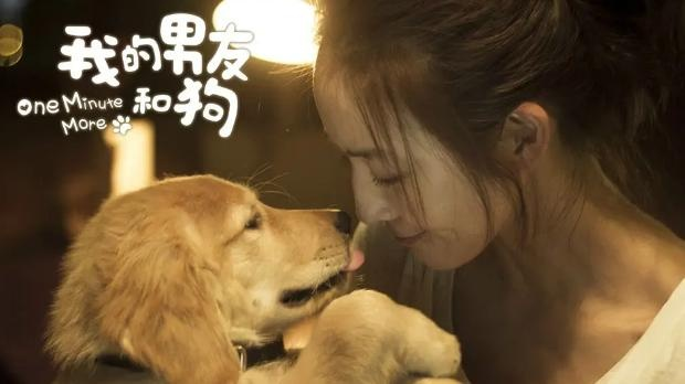 生活中的喜剧和浪漫：以我的男友是条狗为主题，揭示人与宠物之间深刻的情感连结
