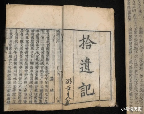 (拾遗是啥意思)什么是拾遗？拾遗的含义及其在社会中的重要性详解